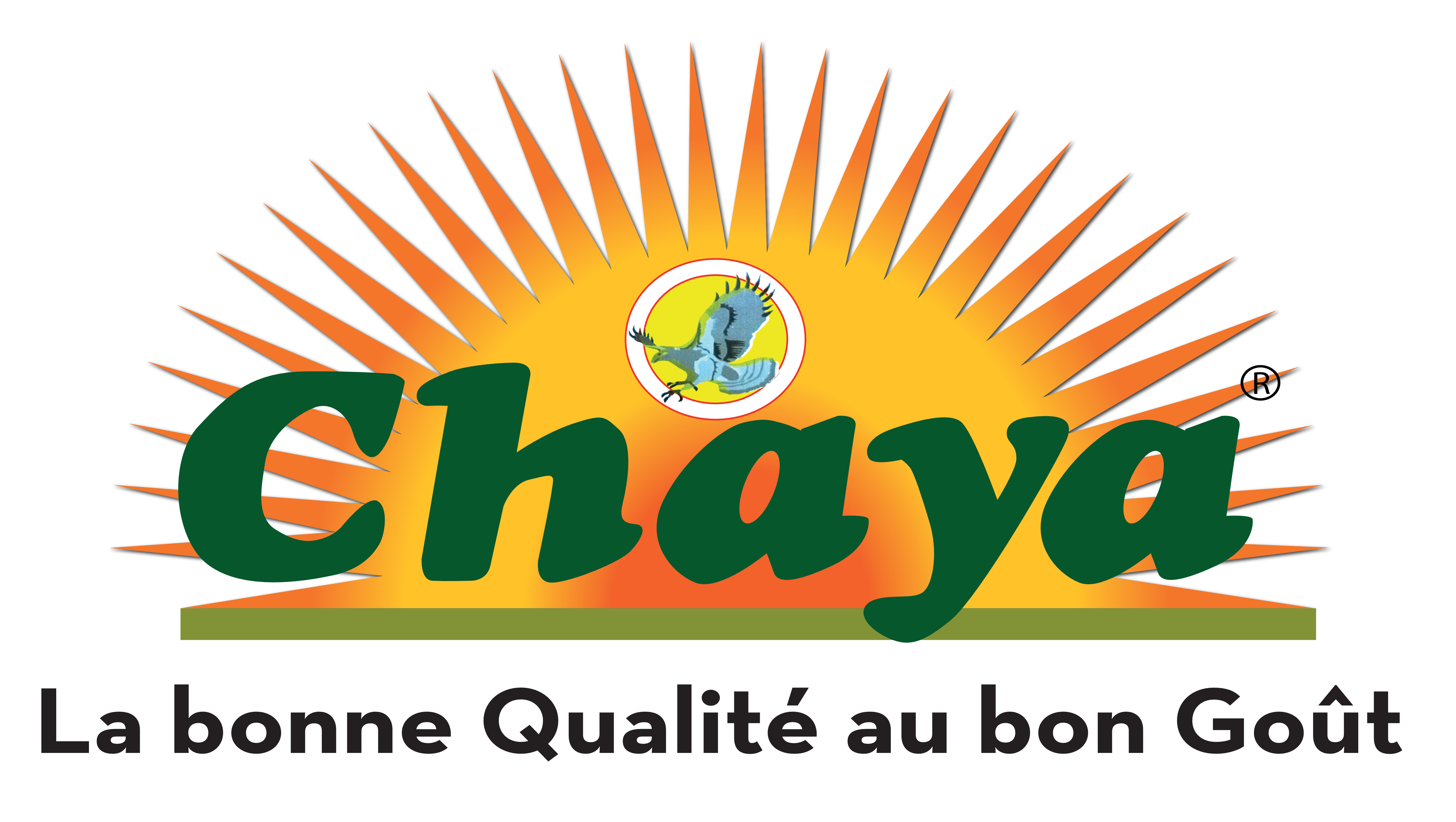 Chaya